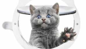 Aliexpress za mačke: dajte svoj hišni ljubljenček ločen vhod