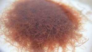 Aulofor - vzreja doma