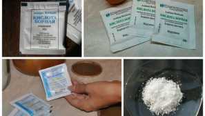 Borična kislina kot sredstvo iz ščurkov izbor receptov