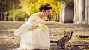 Foto seja z mačko: jesenske ideje za neverjetno osebje