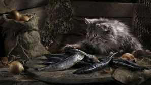 Lahko mačka ima slane ribe