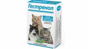 Pravila za uporabo hesslenola za mačke in mačke