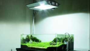 Led osvetlitev za akvarijske rastline